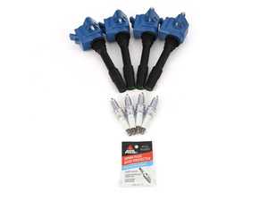 Dinan Performance Ignition Service Kit