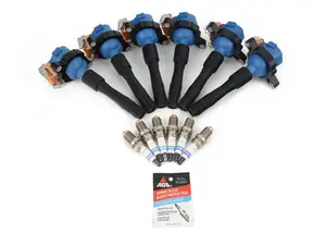 Dinan Performance Ignition Service Kit