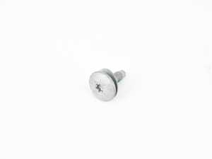 OVAL HEAD SCREW WITH WASHER