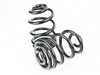 Assembled By ECS E46 M3 Coupe Factory Replacement Rear Springs with pads e46m3rspringsKT View 16