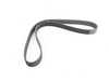 Continental Conti Tech Accessory Belt - Alternator/Water Pump/Power Steering Belt - E38 11288672072 View 1
