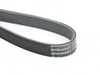 Continental Conti Tech Accessory Belt - Alternator/Water Pump/Power Steering Belt - E38 11288672072 View 2