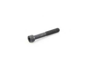 Genuine BMW Fillister-Head Screw M8X55 - 31422312036