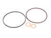 Race German Race German Single Vanos Rebuild - Seal Kit RGSVNSSK View 1