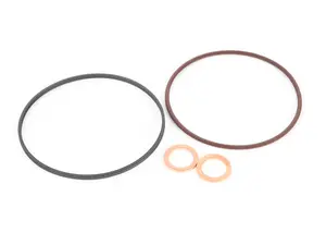 Race German Single Vanos Rebuild - Seal Kit