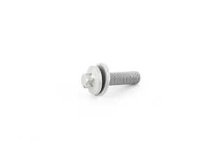 TORX SCREW WITH WASH