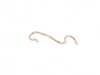 Genuine BMW Genuine BMW Hook - 34411152241 34411152241 View 1