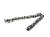 Schrick Schrick Intake Camshaft - E46 M3, MZ3, MZ4 (S54) - 304 Degree, 12.5mm Lift 0415E1040-00 View 1