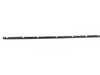Genuine BMW Genuine BMW Moulding Door Front Left - 51138236881 - E36 51138236881 View 2