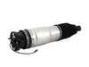 Bilstein B4 OE Replacement Rear Left Air Strut - E65 (w/ EDC) 44-262259 View 2