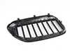 Genuine BMW FR.RADIATOR GRILL BLACK HIGH 51719626587 View 2