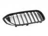 Genuine BMW FR.RADIATOR GRILL BLACK HIGH 51719626586 View 1