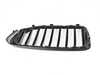 Genuine BMW FR.RADIATOR GRILL BLACK HIGH 51719626586 View 2