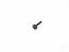 Genuine BMW Genuine BMW Fillister Head Screw 07149250688 View 1