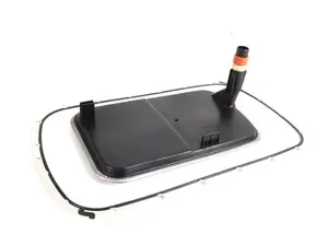 OEM Rein Transmission Filter Kit - E46 E83 Z3 E39