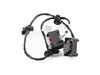 Genuine BMW Genuine BMW Wiring Harness For Eps Contr - 61129243625 61129243625 View 1