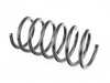 Genuine BMW Genuine BMW Coil Spring - 31332226199 31332226199 View 2