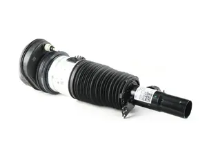 AIR SPRING STRUT, FRONT LEFT