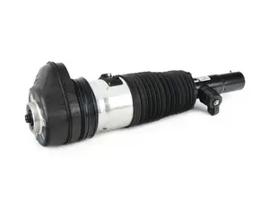 AIR SPRING STRUT, FRONT RIGH