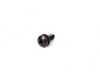 Genuine BMW Genuine BMW Fillister Head Self-tapping - 07119907925 07119907925 View 1