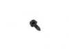 Genuine BMW Genuine BMW Fillister Head Self-tapping - 07119907925 07119907925 View 2