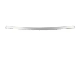 Genuine BMW Decorative Strip, Door Front - 51419173693
