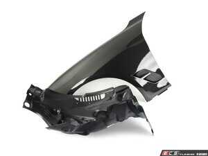 Carbon Fiber Front Fender Pair