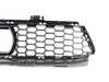 Genuine BMW GRILL, AIR INTAKE, CENTER 51118080767 View 2