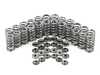 Supertech SuperTech High Performance Valve Spring Kit - 88lbs - BMW N55 S55 SUP-HPVSK-S55-88 View 1