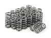 Supertech SuperTech High Performance Valve Spring Kit - 88lbs - BMW N55 S55 SUP-HPVSK-S55-88 View 2