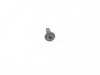 Genuine MINI FILLISTER HEAD SCREW 07146977945 View 1