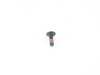 Genuine MINI FILLISTER HEAD SCREW 07146977945 View 2
