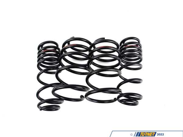 Doorbusters MK7 GTI Lowering Springs & Flush Kit Package 047316LADBKT