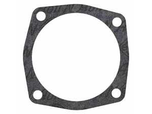 BMW Thermostat Gasket