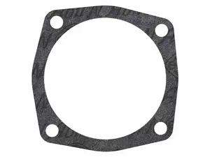 BMW Thermostat Gasket