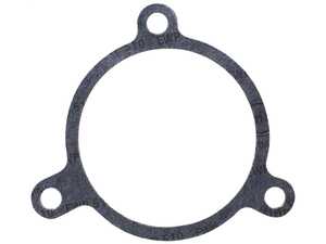 BMW Water Pump Gasket
