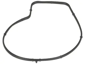 BMW Water Pump Gasket