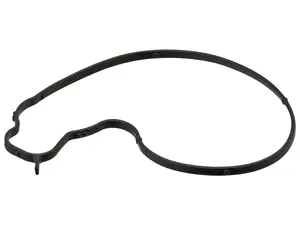 BMW Water Pump Gasket