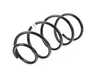Genuine BMW Genuine BMW Front Coil Spring - 31336767368 31336767368 View 1