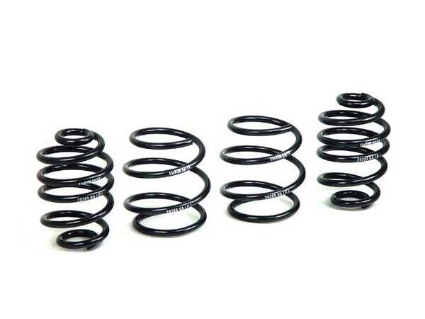 H&R H&R Sport Spring Set - E85 Z4 2.5/3.0/3.0i/3.0si 50421