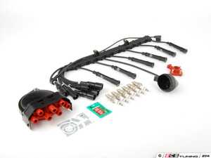 Ignition Service Kit 