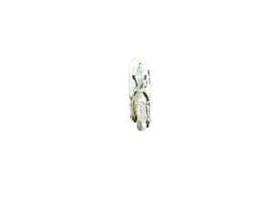 Genuine BMW Bulb 12V 1,2W - 63217167000 - E30,E34,E36,E38,E83