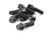 Dinan 40mm Lug Bolt Kit - Set Of 10 D220-0005 View 1
