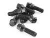 Dinan 40mm Lug Bolt Kit - Set Of 10 D220-0005 View 2