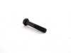 Genuine BMW Genuine BMW Hex Bolt M10X57 - 32211137483 - E34,E34 M5 32211137483 View 2
