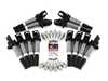 Dinan Performance Ignition Service Kit D650-0002KT4 View 1