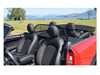 Love the Drive MINI Cooper Wind Deflector - F57 2016+ Mini-2016-2022-W View 2