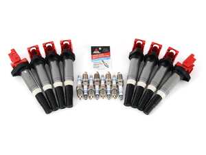 BMW N62 4.4L Performance Ignition Service Kit
