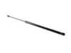 Genuine BMW Genuine BMW Trunk Gas Strut - 318ti 51248230070 View 1
