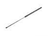 Stabilus Rear Hatch Strut - Left 51248149327 View 4